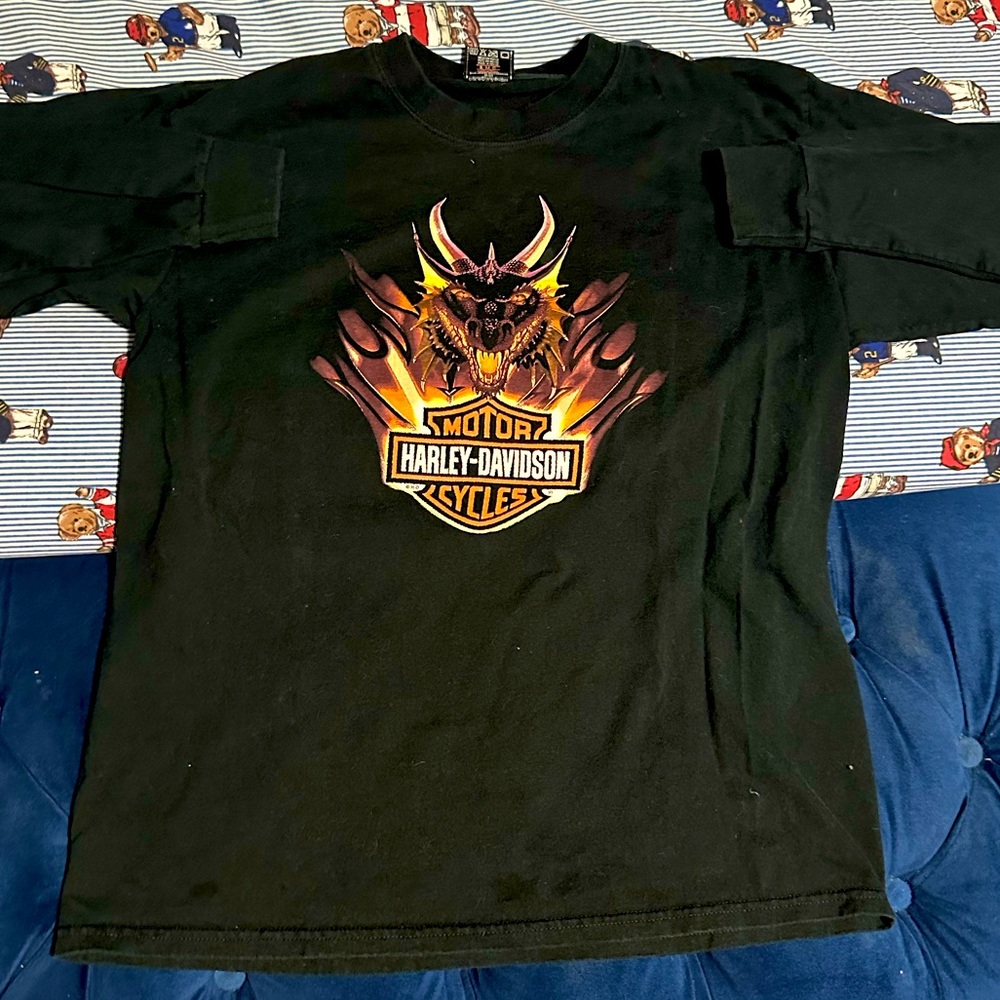 RARE Vintage Harley Davidson long sleeve shirt sz~L fire breathing dragon Mexico